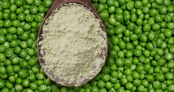 5 ventajas de la proteína en polvo de origen vegetal